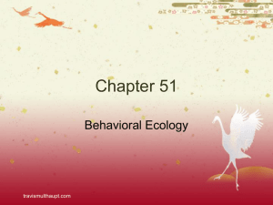 Chapter 51 Presentation