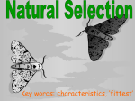 7.3 Natural selection - science