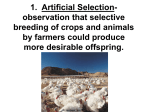 1. Artificial Selection-observation that selective breeding of crops
