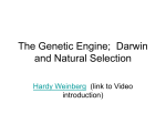The Genetic Engine