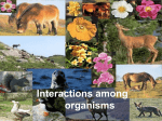 Interactions among organisms