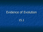 Evolution Lecture #1