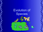 Evolution of Species