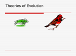 Theories of Evolution