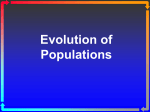 CB-Evolution of Populations