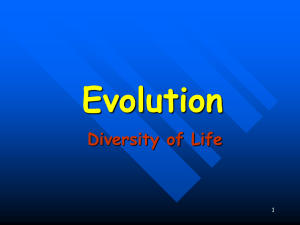 Intro to Evolution Chp.10