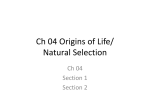 Ch 04 Origins of Life/ Natural Selection