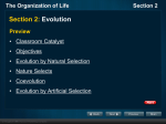 The Organization of Life Section 2 A. Evolution by Natural Selection