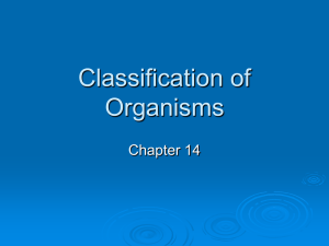 Classification of Organisms