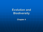 Ecological Perspective BIOL 346/ch4 revised 22 Jan 2012