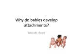 Lesson 3 - Why do babies develop attachments