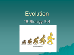Evolution powerpoint