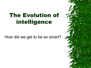 The Evolution of intelligence