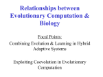 Combinations of Evolution & Learning in Artificial Adaptive Systems