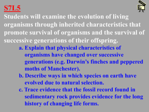 Clues About Evolution