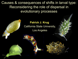 8, Tupper seminar, larval type and species selection