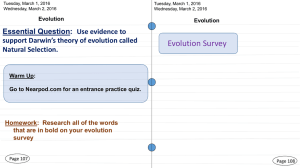 Evolution - bernadetteyoung