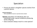 Speciation