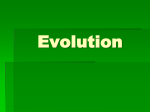 Evolution