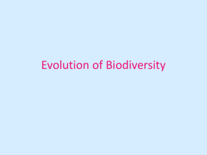 Evolution of Biodiversity