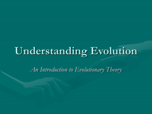 Understanding Evolution