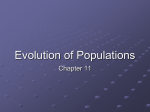 Evolution of Populations