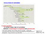 Genic contribution to expansion in genome size