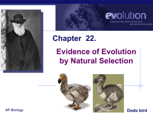 Ch_22 Evolution Evidence