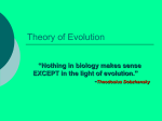 Theory of Evolution