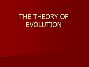 THE THEORY OF EVOLUTION