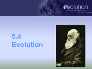 5.4 Evolution - Cloudfront.net