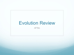 AP Evoltuion Review