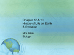 Chapter 12 History of Life on Earth