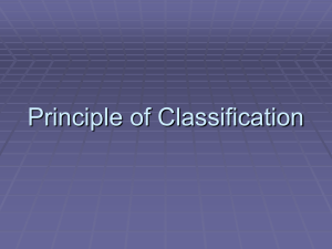 Principle of Classification