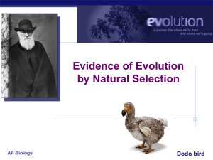 Evidence of Evolution Ch. 22 PPT