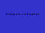 Evolution by natural selection - BioGeoWiki-4ESO