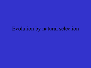Evolution by natural selection - BioGeoWiki-4ESO