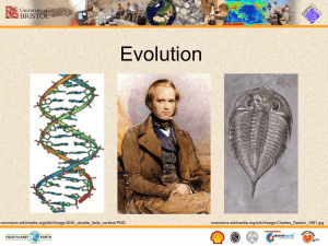 evolution ppt