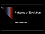 Patterns of Evolution