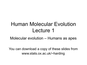 Human Molecular Evolution Lecture 2