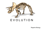 Evolution PowerPoint