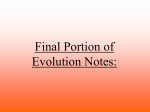Final Portion of Evolution Notes