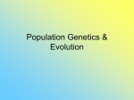 Population Genetics & Evolution