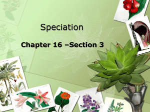 Speciation