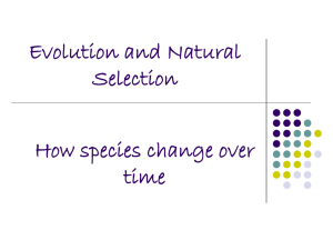 Evolution and Natural Selection