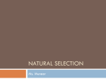 Natural selection - Bloor-SBI3U