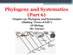Evolution- Phylogeny PPT Lecture