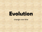 Evolution - GEOCITIES.ws