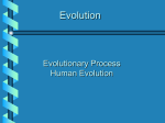 Anatomical Evidence for Common Descent