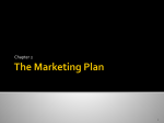 The Marketing Plan